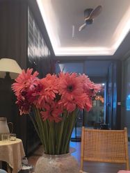 -花隐瑜伽·普拉提·红绳