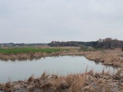 -贡湖湾湿地公园
