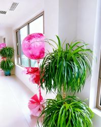 -爱月时月子会所·贝萌店