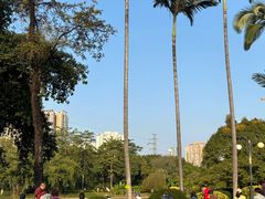 -晓港公园