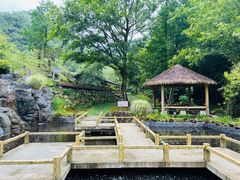 -苍龙峡风景区
