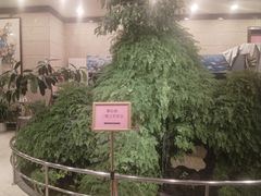 -月坛宾馆-聚仙楼餐厅