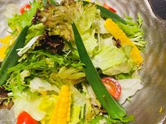 田园蔬菜沙拉-AJIYA·池袋日式烧肉自助(天津万象城店)
