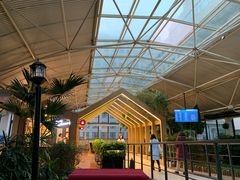 -北京大学肿瘤医院