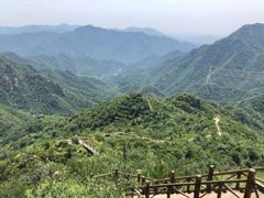 -大岭沟猕猴桃谷风景区