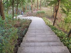 -燕子岭公园