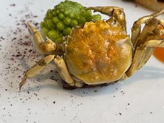 -九献创意菜·新中式(亮马河花园私宴店)