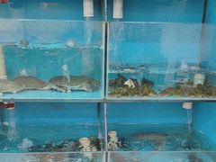 -覃大个·藕汤印象(博奇路店)