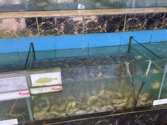 -考记泥焗鸡农庄·海鲜(北洛秘境店)