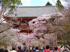 -醍醐寺