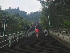 -鲜椒鱼·雅安地标性美食