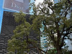 -大馆(前中区警署建築群)