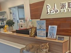 -派联宠物医院·24h·CT·异宠