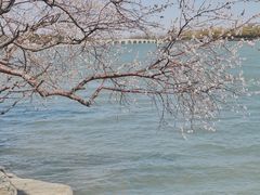 -颐和园
