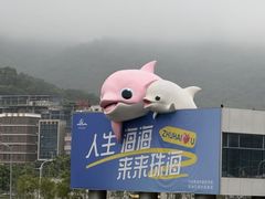 -东澳岛