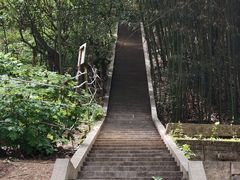 -盛世牡丹苑生态文化旅游区