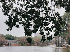 -荔湾湖公园