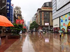-泰康食品(南京东路店)