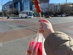 -和禄德冰糖葫芦(东四朝内菜市场店)