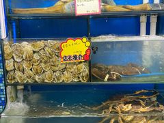 水产区-蚝专家(北滘店)