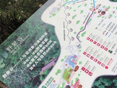 -野象谷景区