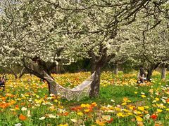 -名花谷生态庄园