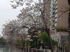 -红星桥(地铁站)