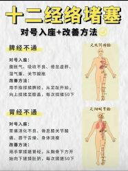 点击看大图 -玛莲朵·海菲秀冰珀科