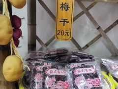 -苏州市吴中区光福窑上花果蜜饯厂