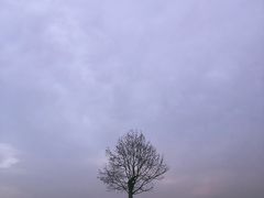 -钟山体育运动公园