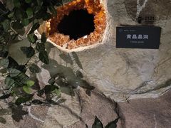-中国地质博物馆