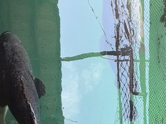 -蓝湾碧波·老字号·疍家非遗海上餐厅