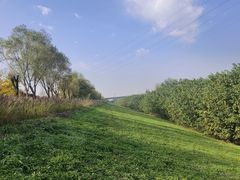 -渭河城市绿地运动公园