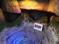 -吉林省自然博物馆