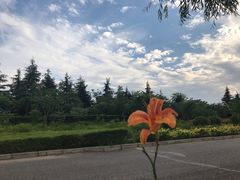 -洨河生态公园