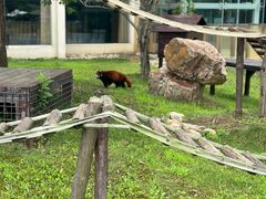 -南京汤山紫清湖生态旅游温泉度假区