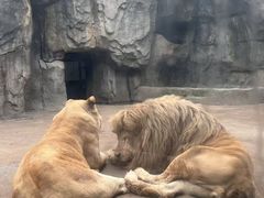 -南昌动物园