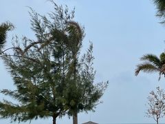 -汕尾风车岛