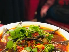 -旭龙鱼头王(航华店)