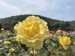 -龙寺生态园
