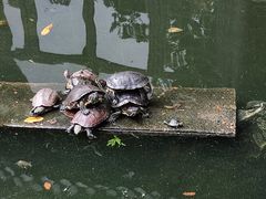 -岳麓山风景名胜区