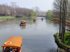 -溱湖国家湿地公园