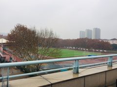 -华中科技大学光谷体育馆