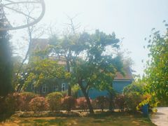 -八大关景区