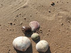 -那香海钻石沙滩浴场