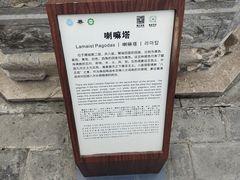 -普乐寺