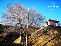 -永定河休闲森林公园