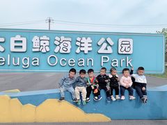 -芜湖新华联大白鲸海洋公园