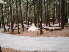 -重庆睡佛山森林公园
