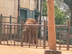-昆明动物园